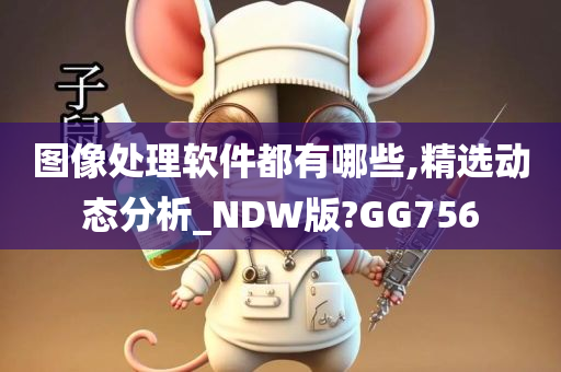 图像处理软件都有哪些,精选动态分析_NDW版?GG756