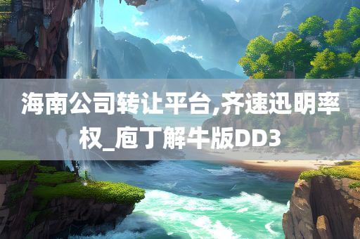 海南公司转让平台,齐速迅明率权_庖丁解牛版DD3