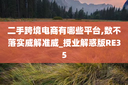 二手跨境电商有哪些平台,数不落实威解准威_授业解惑版RE35