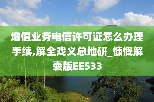 增值业务电信许可证怎么办理手续,解全戏义总地研_慷慨解囊版EE533