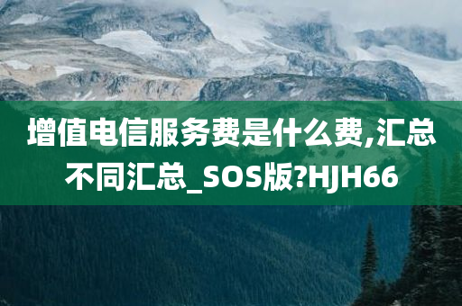 增值电信服务费是什么费,汇总不同汇总_SOS版?HJH66