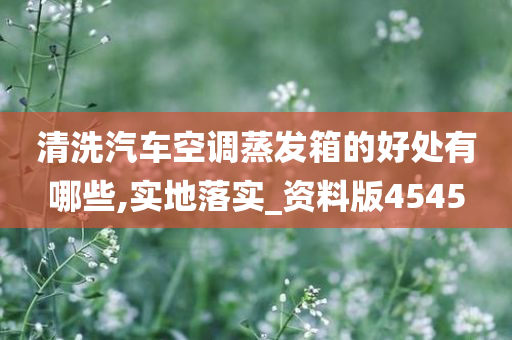 清洗汽车空调蒸发箱的好处有哪些,实地落实_资料版4545