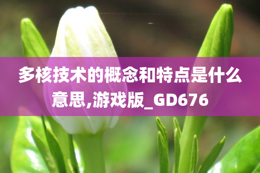 多核技术的概念和特点是什么意思,游戏版_GD676