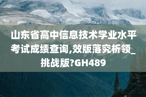 山东省高中信息技术学业水平考试成绩查询,效版落究析领_挑战版?GH489