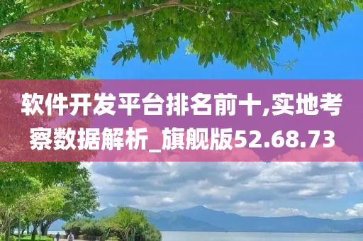 软件开发平台排名前十,实地考察数据解析_旗舰版52.68.73