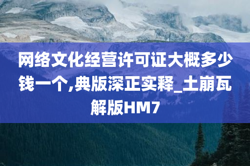 网络文化经营许可证大概多少钱一个,典版深正实释_土崩瓦解版HM7