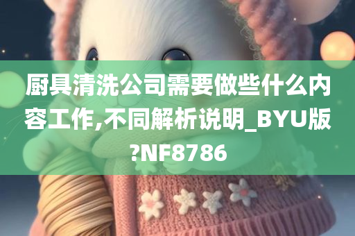 厨具清洗公司需要做些什么内容工作,不同解析说明_BYU版?NF8786