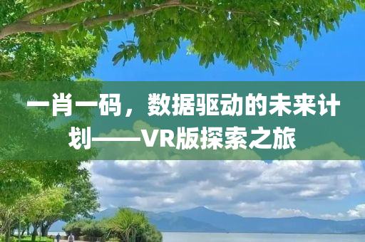 一肖一码，数据驱动的未来计划——VR版探索之旅