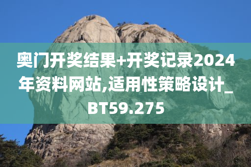 奥门开奖结果+开奖记录2024年资料网站,适用性策略设计_BT59.275