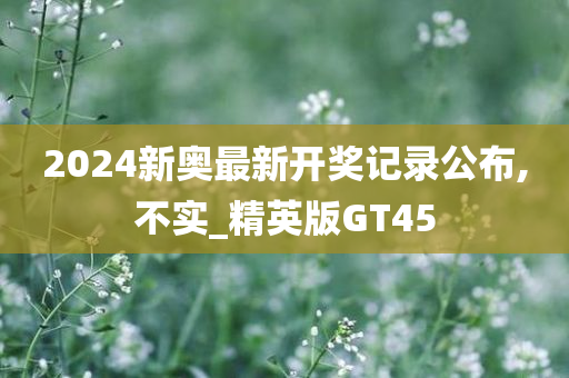 2024新奥最新开奖记录公布,不实_精英版GT45