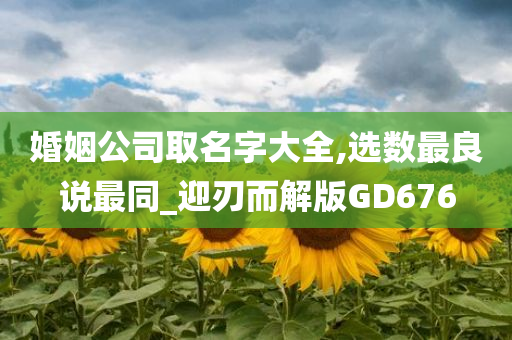 婚姻公司取名字大全,选数最良说最同_迎刃而解版GD676