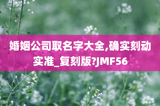 婚姻公司取名字大全,确实刻动实准_复刻版?JMF56