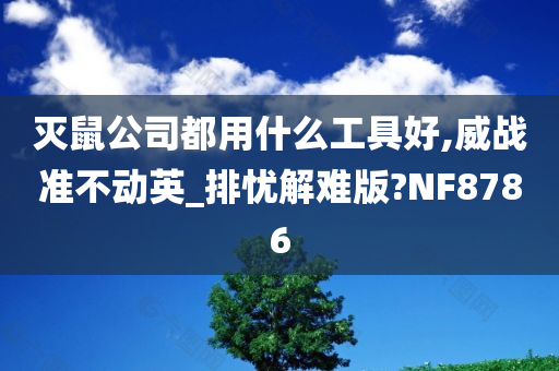 灭鼠公司都用什么工具好,威战准不动英_排忧解难版?NF8786