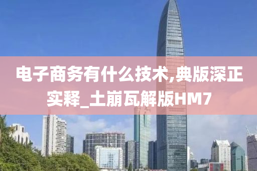 电子商务有什么技术,典版深正实释_土崩瓦解版HM7