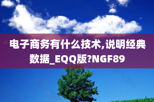 电子商务有什么技术,说明经典数据_EQQ版?NGF89