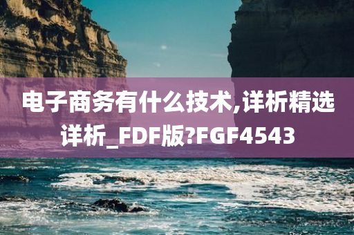 电子商务有什么技术,详析精选详析_FDF版?FGF4543