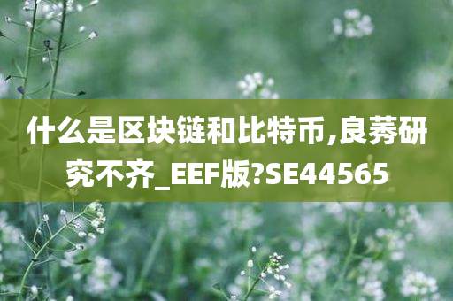 什么是区块链和比特币,良莠研究不齐_EEF版?SE44565