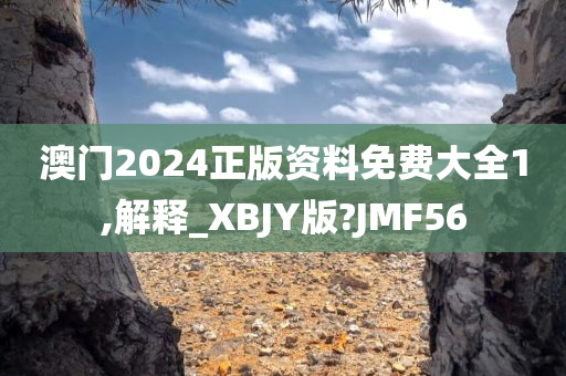 澳门2024正版资料免费大全1,解释_XBJY版?JMF56