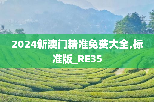 2024新澳门精准免费大全,标准版_RE35