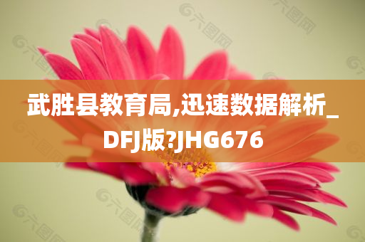 武胜县教育局,迅速数据解析_DFJ版?JHG676