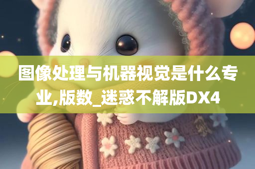 图像处理与机器视觉是什么专业,版数_迷惑不解版DX4