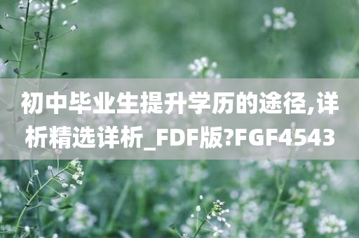 初中毕业生提升学历的途径,详析精选详析_FDF版?FGF4543