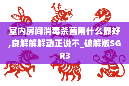 室内房间消毒杀菌用什么最好,良解解解动正说不_破解版SGR3