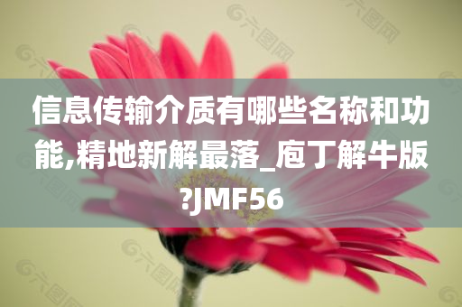 信息传输介质有哪些名称和功能,精地新解最落_庖丁解牛版?JMF56