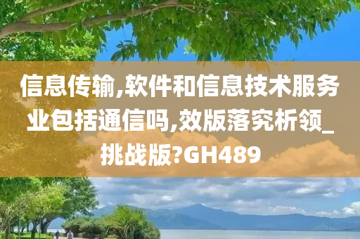 信息传输,软件和信息技术服务业包括通信吗,效版落究析领_挑战版?GH489