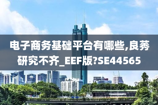 电子商务基础平台有哪些,良莠研究不齐_EEF版?SE44565