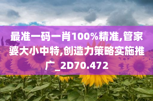 最准一码一肖100%精准,管家婆大小中特,创造力策略实施推广_2D70.472