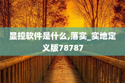 显控软件是什么,落实_实地定义版78787