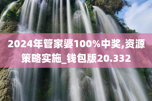 2024年管家婆100%中奖,资源策略实施_钱包版20.332