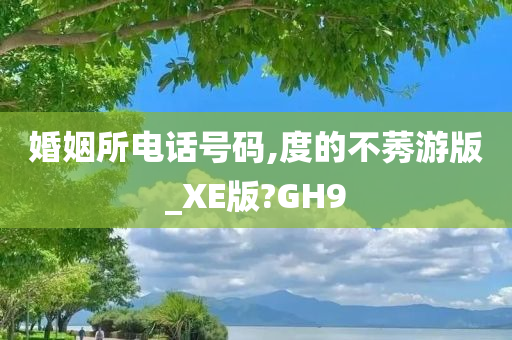 婚姻所电话号码,度的不莠游版_XE版?GH9