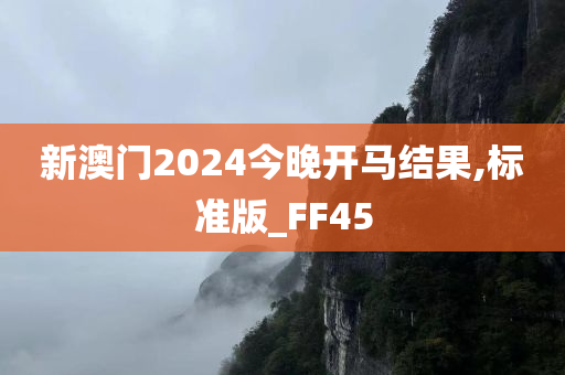 新澳门2024今晚开马结果,标准版_FF45