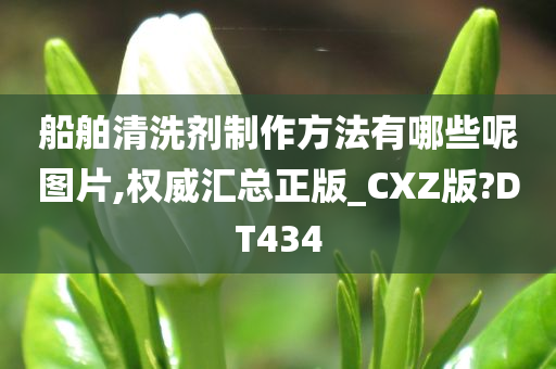 船舶清洗剂制作方法有哪些呢图片,权威汇总正版_CXZ版?DT434