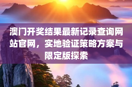 澳门开奖结果最新记录查询网站官网，实地验证策略方案与限定版探索