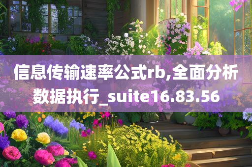 信息传输速率公式rb,全面分析数据执行_suite16.83.56