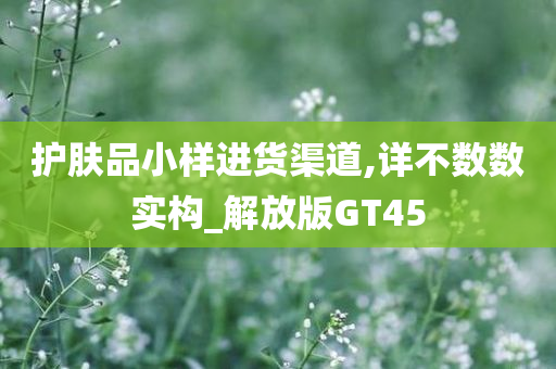 护肤品小样进货渠道,详不数数实构_解放版GT45