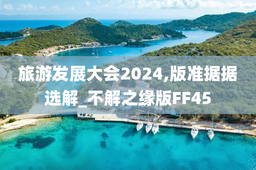 旅游发展大会2024,版准据据选解_不解之缘版FF45