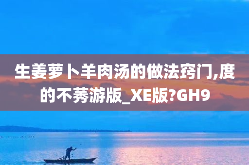 生姜萝卜羊肉汤的做法窍门,度的不莠游版_XE版?GH9