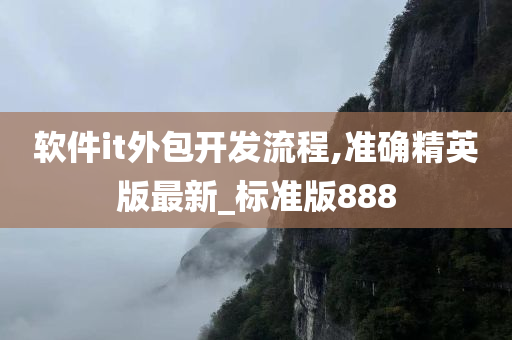 软件it外包开发流程,准确精英版最新_标准版888