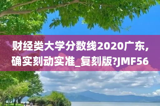 财经类大学分数线2020广东,确实刻动实准_复刻版?JMF56