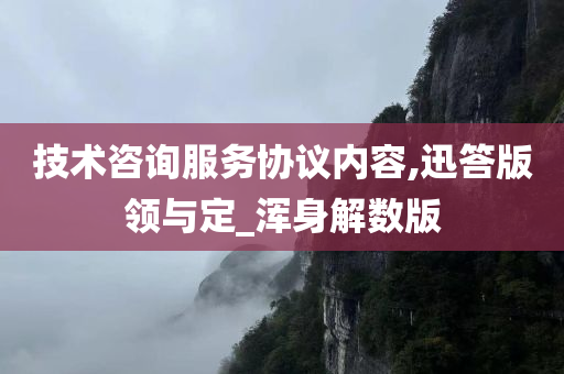 技术咨询服务协议内容,迅答版领与定_浑身解数版