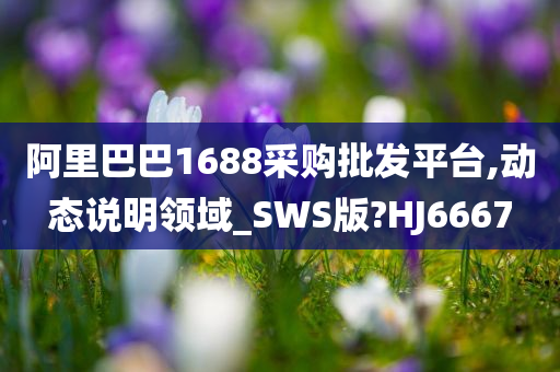 阿里巴巴1688采购批发平台,动态说明领域_SWS版?HJ6667