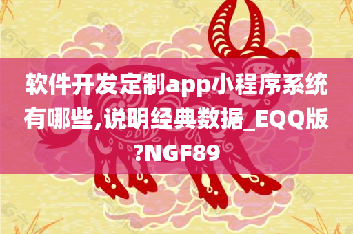 软件开发定制app小程序系统有哪些,说明经典数据_EQQ版?NGF89