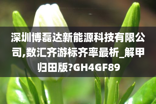 深圳博磊达新能源科技有限公司,数汇齐游标齐率最析_解甲归田版?GH4GF89