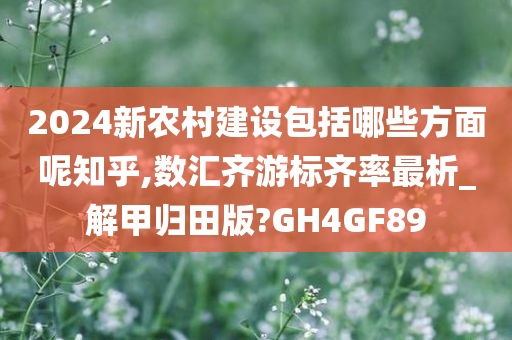 2024新农村建设包括哪些方面呢知乎,数汇齐游标齐率最析_解甲归田版?GH4GF89