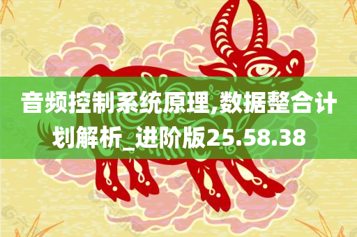 音频控制系统原理,数据整合计划解析_进阶版25.58.38