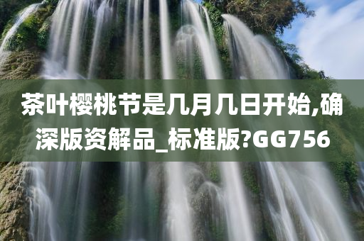 茶叶樱桃节是几月几日开始,确深版资解品_标准版?GG756